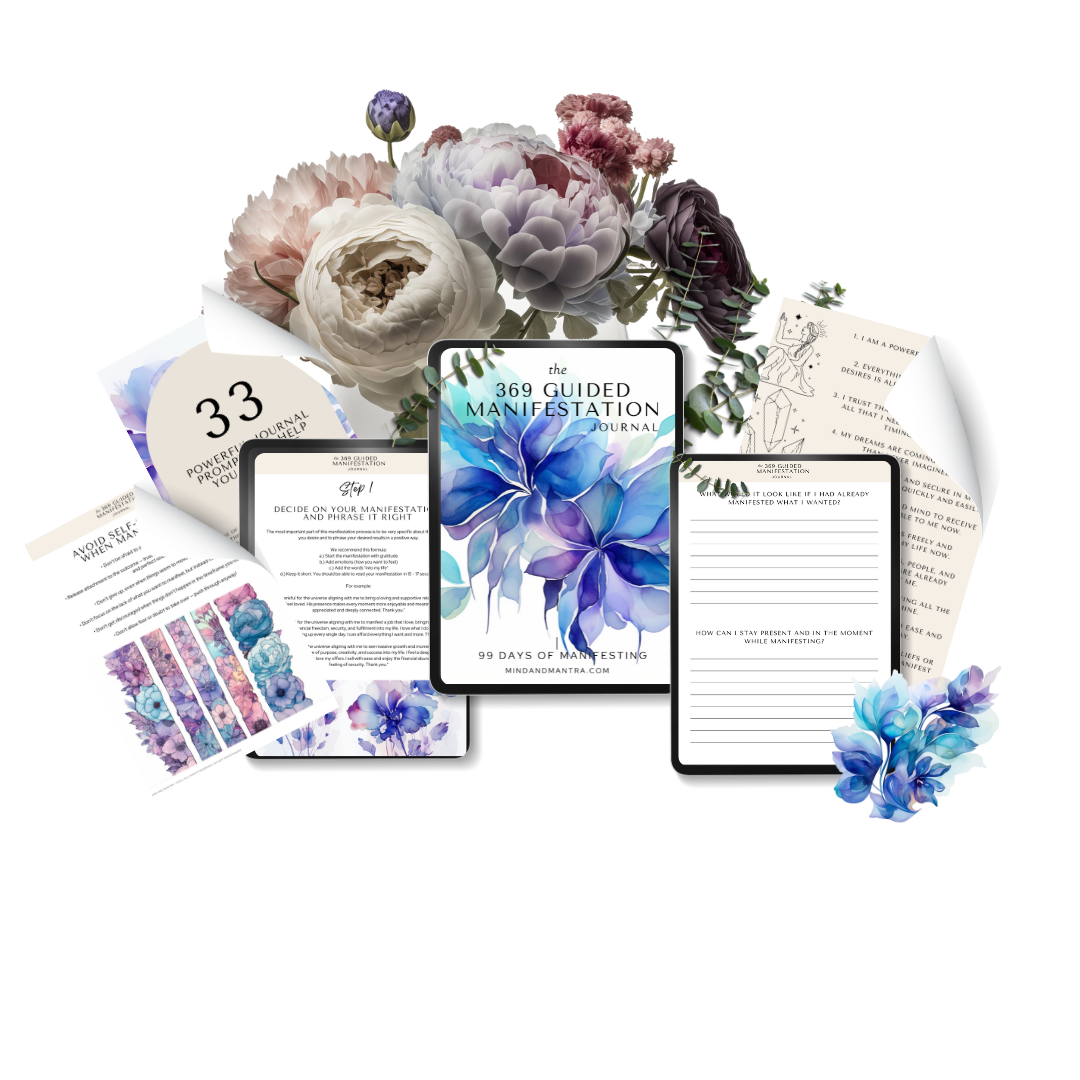 369 guided manifestation journal