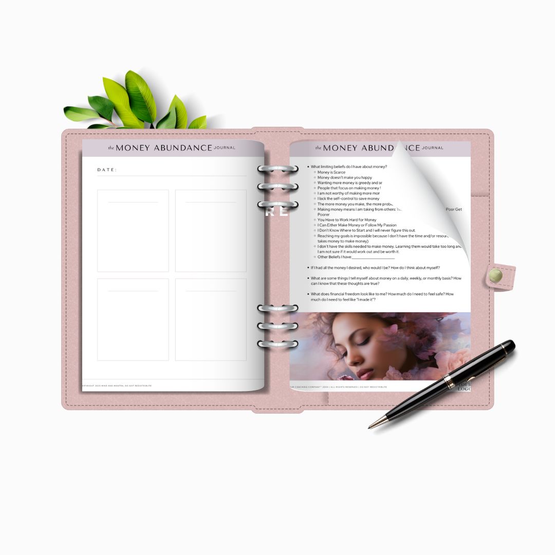 The Money Abundance Journal