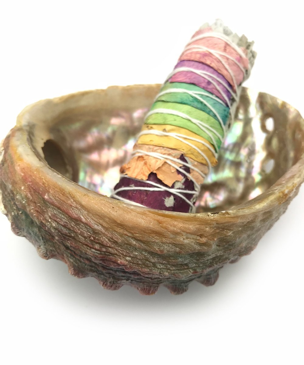 Abalone Shell for Smudging - The Deva Shop